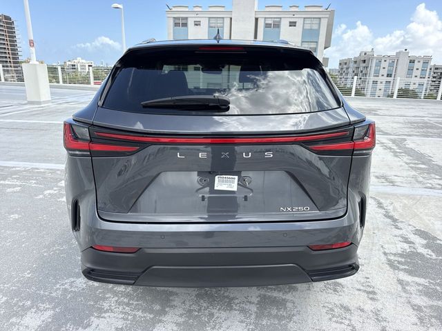 Used 2025 Lexus NX SUV