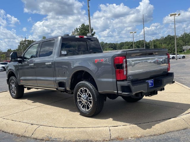 New 2026 Gray Ford Platinum image 4