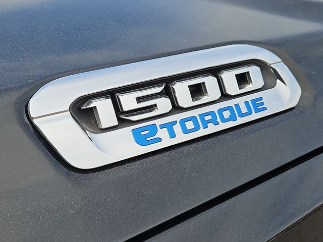 New 2026 Black Ram Limited image 29