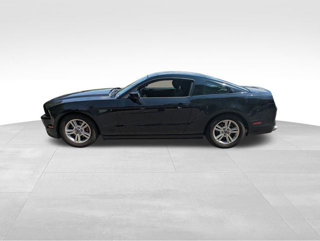 2014 Ford Mustang V6 photo
