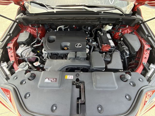 Used 2025 Lexus NX SUV