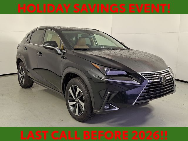 2021 Lexus NX 300's photo
