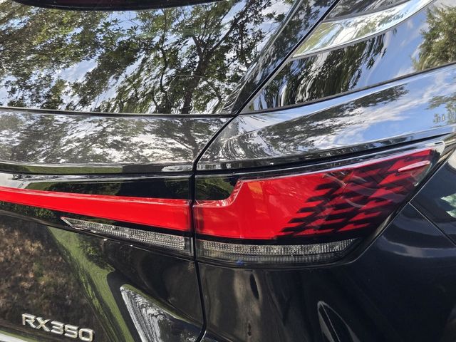 2024 Lexus RX