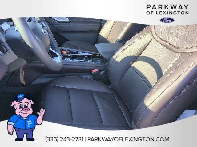 New 2026 Black Ford Platinum image 13