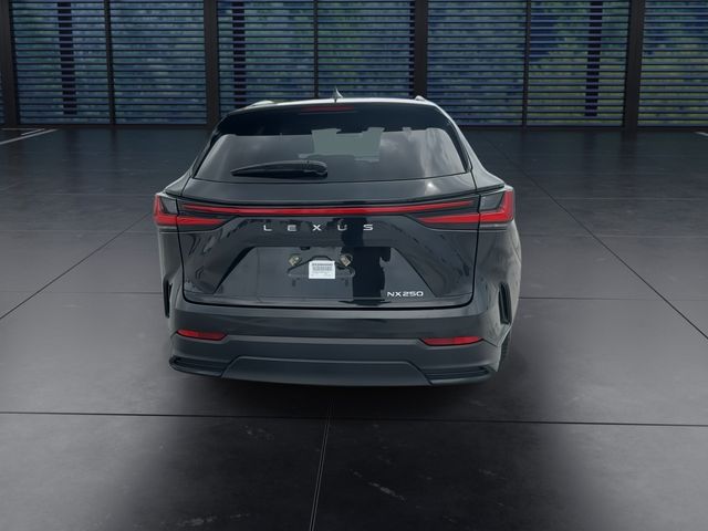 2025 Lexus NX - $41,998
