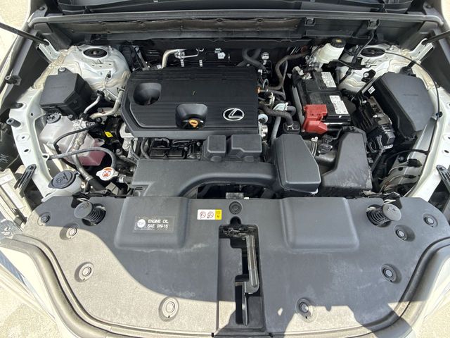 2024 Lexus NX - $40,998