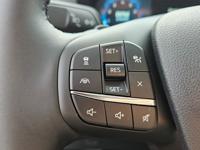 New 2025 Gray Ford Badlands image 25