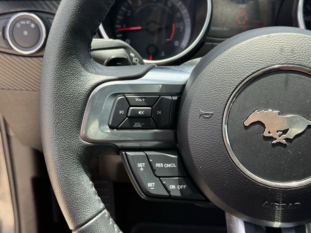 2020 Ford Mustang EcoBoost Gray at Emmons Autoplex