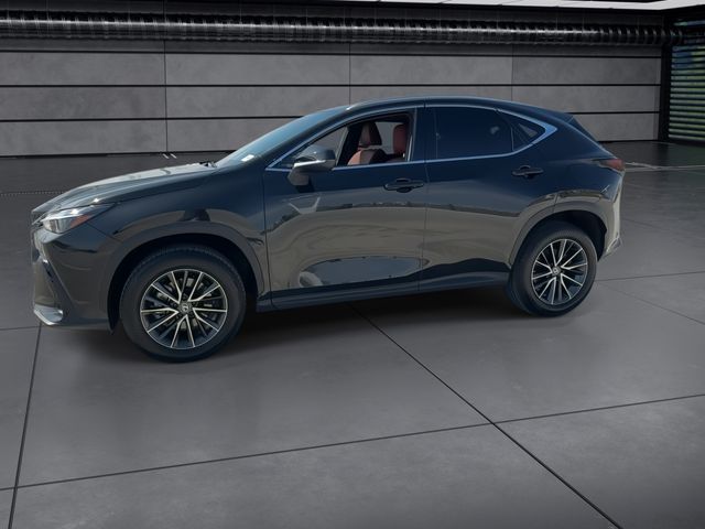 2024 Lexus NX - $39,998