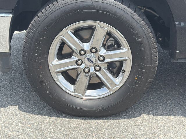 Used 2024 Ford F-150 Truck