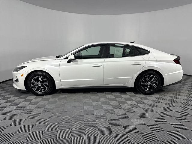 Used 2022 Hyundai Sonata Hybrid For Sale in Indianapolis, IN