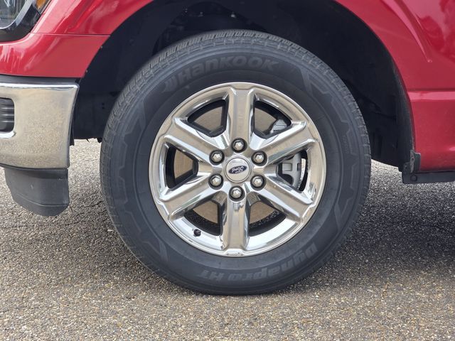 Used 2024 Ford F-150 Truck