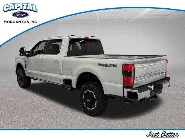 New 2026 White Ford Platinum image 6