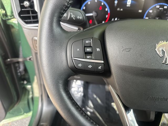 Used 2023 Green Ford Big Bend image 16