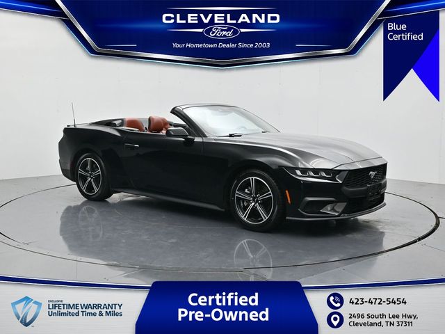 Shadow Black 2024 Ford Mustang Convertible Rear-Wheel Drive Automatic