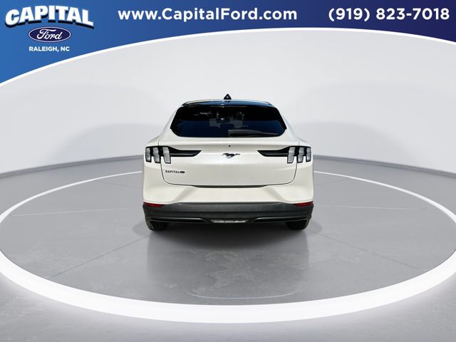 Used 2025 White Ford Premium image 7
