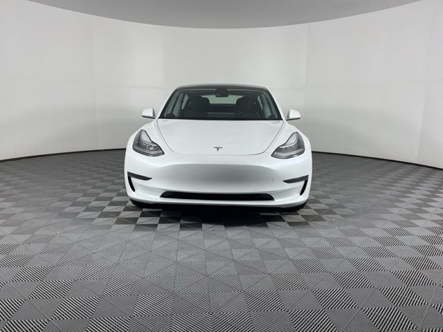 2019 Tesla Model 3 Standard Range Plus 3