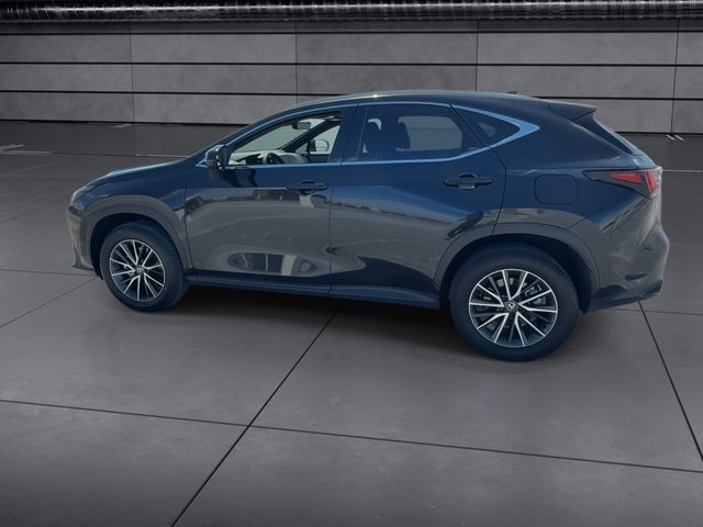 2025 Lexus NX - $46,888