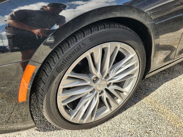 car-gallery-10