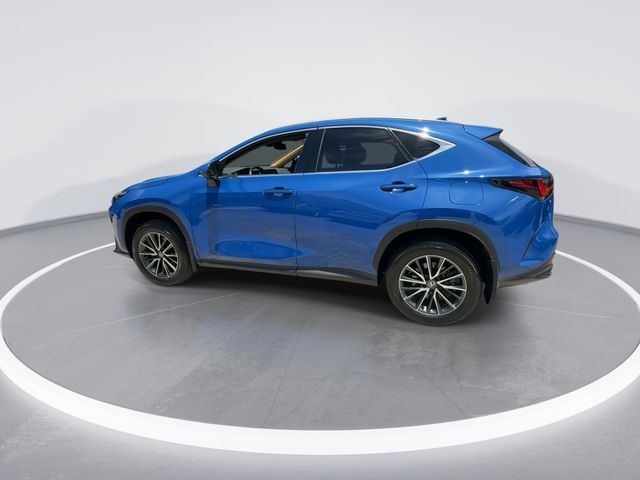 Used 2025 Lexus NX SUV