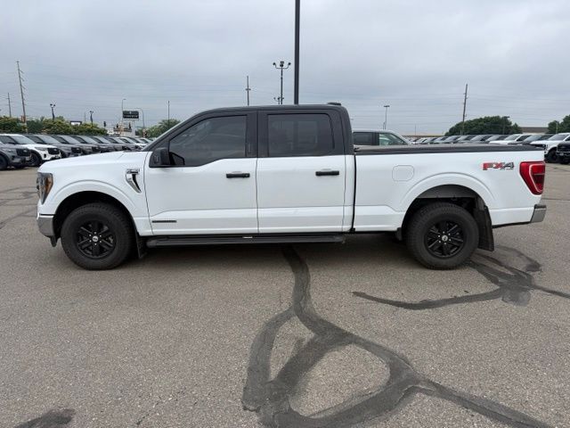 2023 White Ford F-150 XLT 4X4 Truck