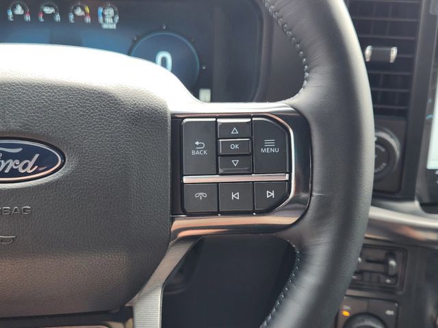 2025 Ford F-150 Platinum photo