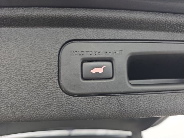 Used 2019 Black Honda Elite image 36