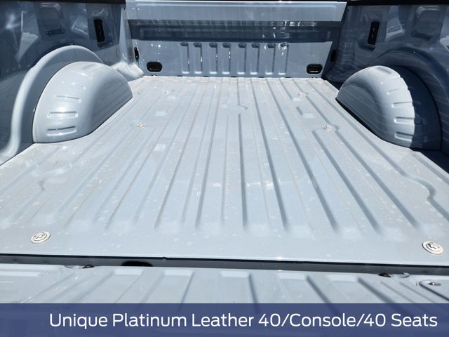 2025 Glacier Gray Metallic Tri-Coat Ford Super Duty F-250 SRW Platinum 4X4 Truck