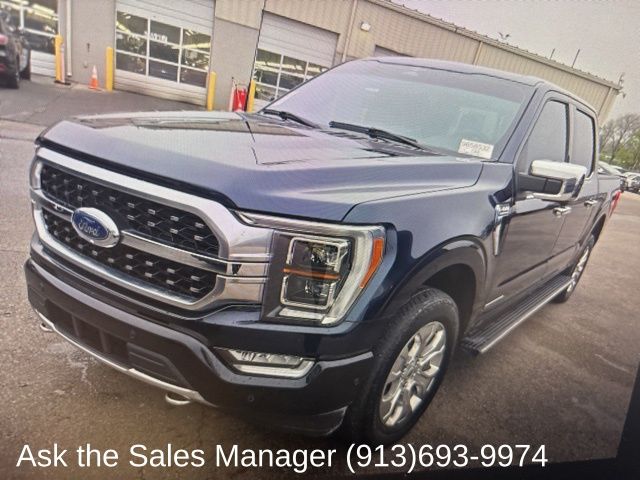 2023 Ford F-150 Platinum