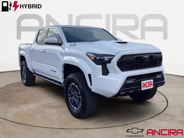 Used Car 2025 Toyota Tacoma Hybrid  Trd Sport For Sale Under $50,000 In San Antonio, Texas