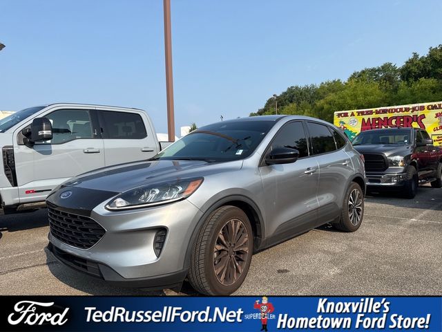 Silver Metallic 2021 Ford Escape SUV / Crossover Front-Wheel Drive 8-Speed Automatic