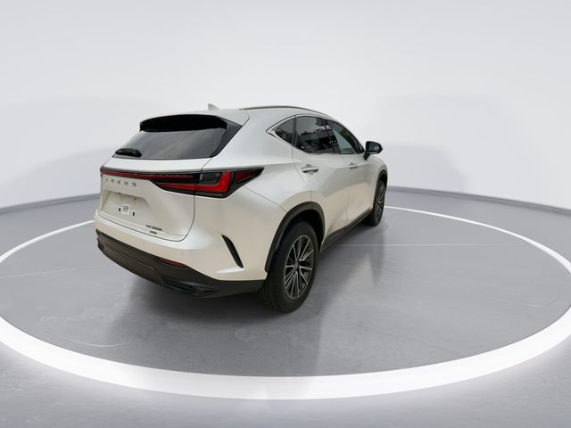2025 Lexus NX - $44,998