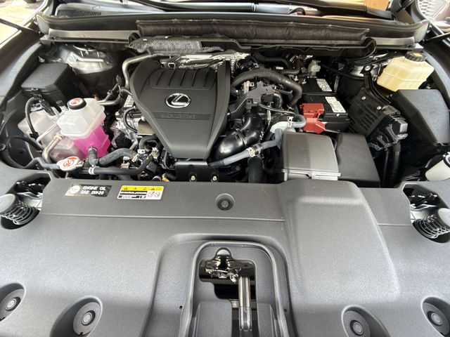 2025 Lexus RX 350 - Photo 27