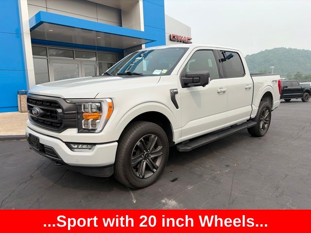 Avalanche 2023 Ford F-150 Pickup Truck Four-Wheel Drive Automatic