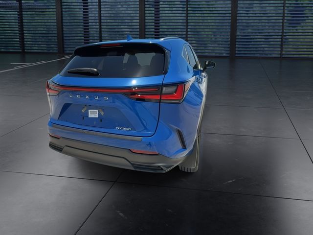 Used 2025 Lexus NX SUV
