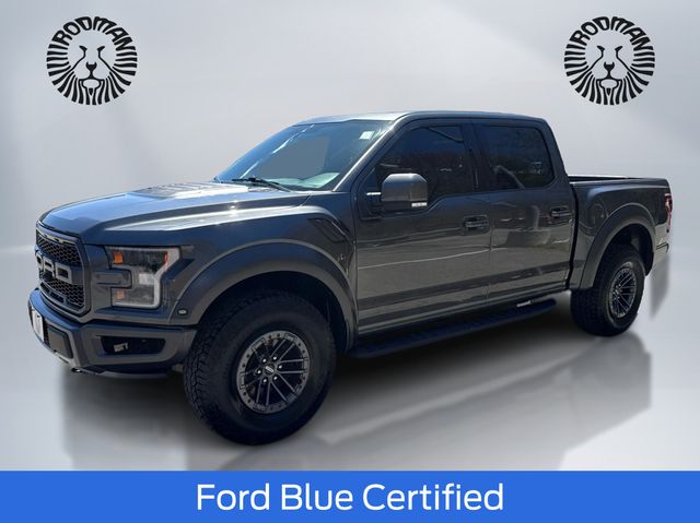 Gray (Magnetic) 2020 Ford F-150 Raptor SuperCrew 4WD Pickup Truck Four-Wheel Drive Automatic