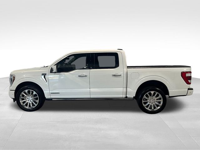 2023 Ford F-150 Limited White at Matthews Motors of Wilmington