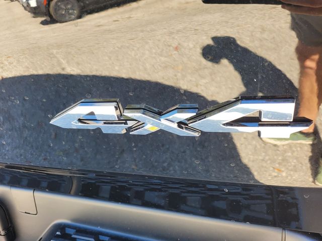 New 2026 Black Ram Tungsten image 13