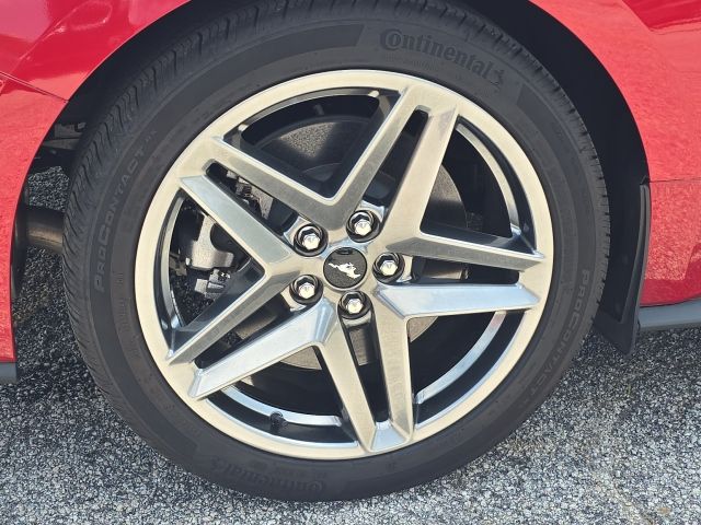 2024 Ford Mustang GT Premium:B02470