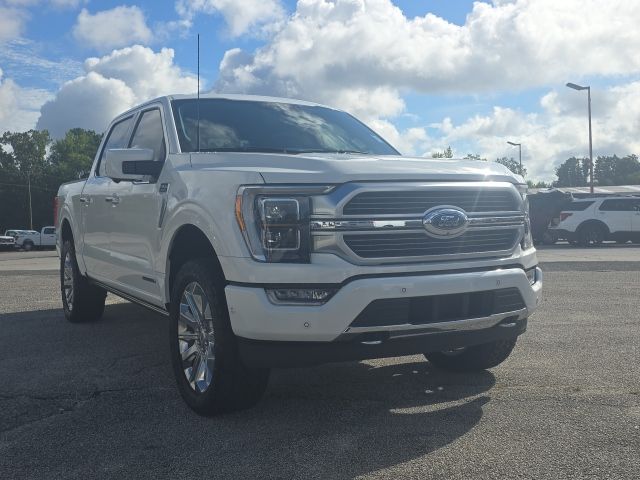 Photo of 2023 Ford F-150 Limited in Dallas, GA - 7,  2023 Ford F-150 Limited:167473A