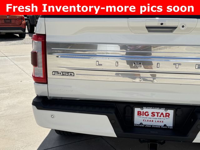 2023 Ford F-150 Limited - 9