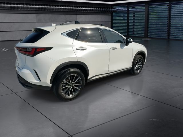 2025 Lexus NX - $47,998