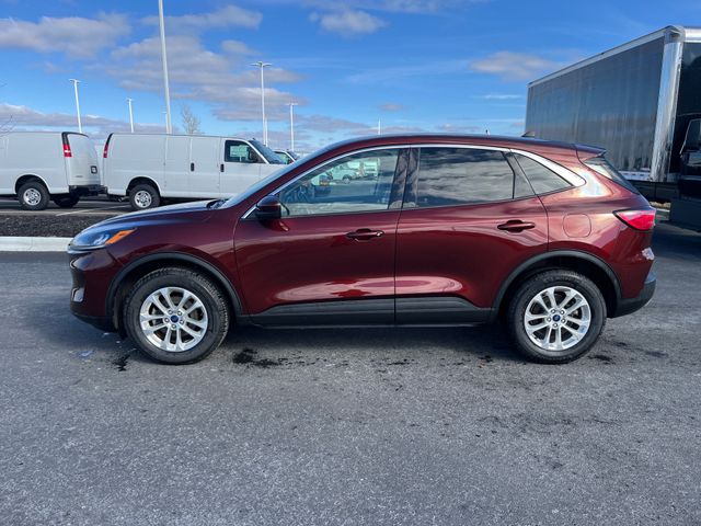 Used 2021 Ford Escape For Sale in Grove City, OH