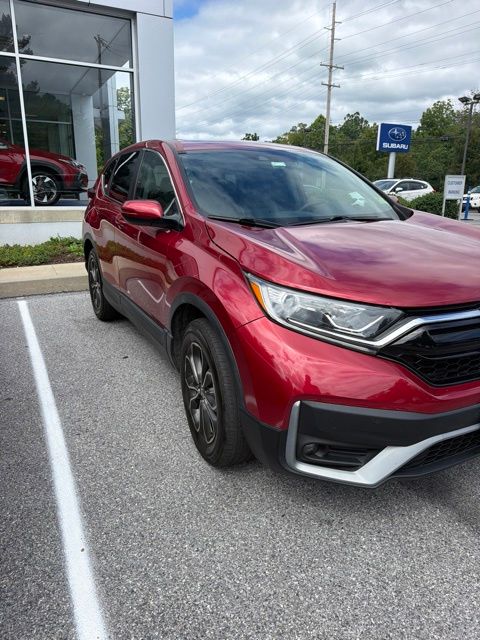 2021 Honda CR-V EX Red at John Sisson Motors