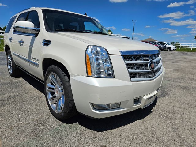2013 Cadillac Escalade Platinum Edition photo