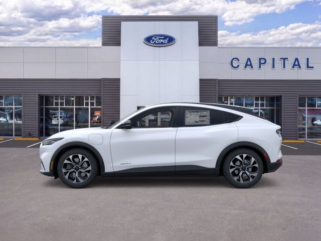New 2026 White Ford Select image 3