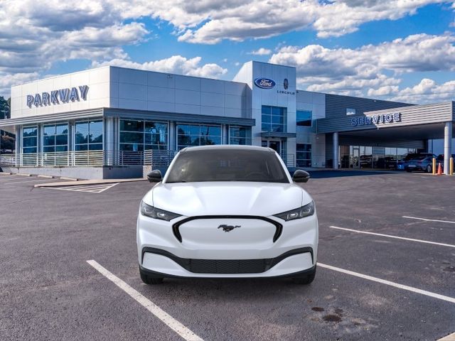 New 2026 White Ford Premium image 6