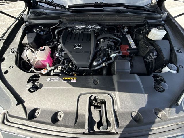 Used 2025 Lexus RX SUV