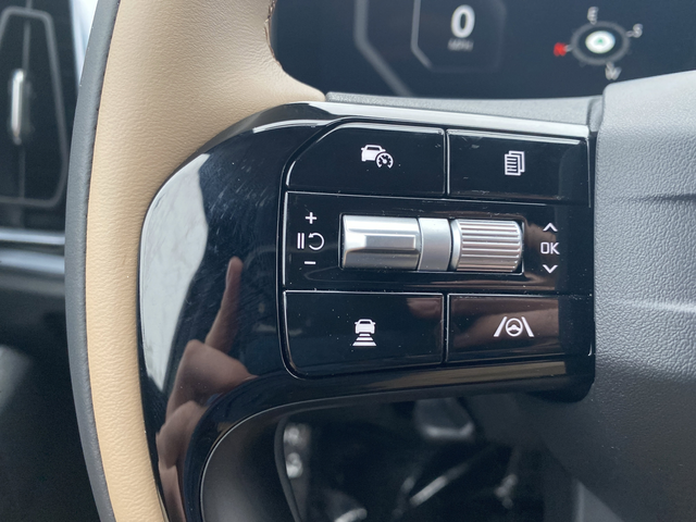 New 2026 Green Kia X-Line SX Prestige image 34