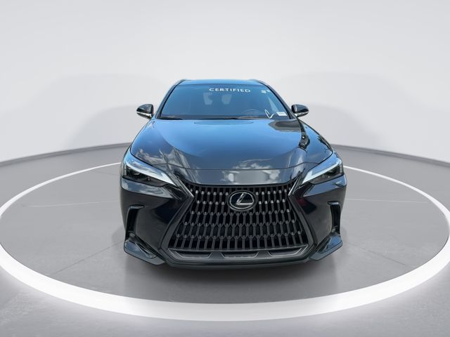 Used 2023 Lexus NX SUV